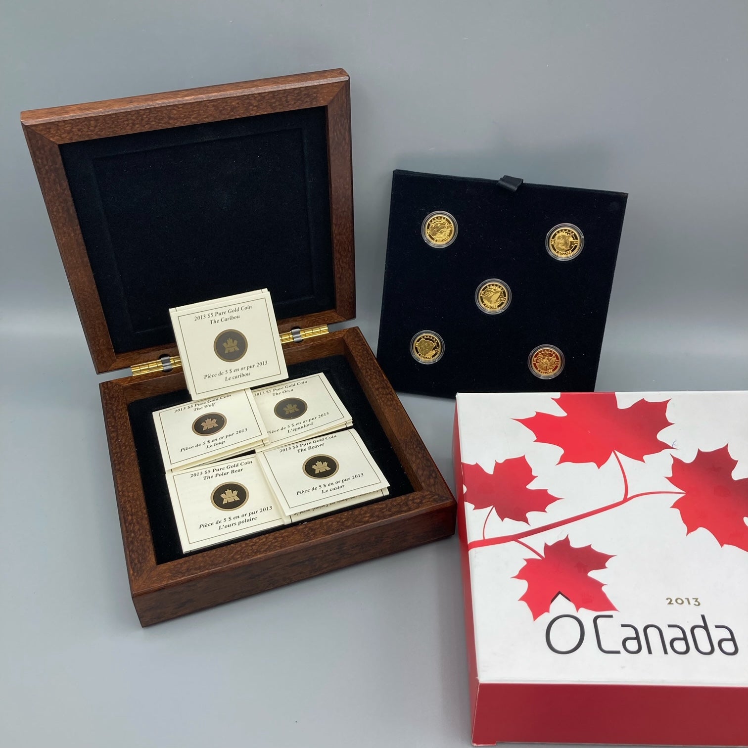 Ensemble de pièces de 5 $ en or pur 2013 de la Monnaie royale canadienne Orque Loup Castor Ours polaire Caribou