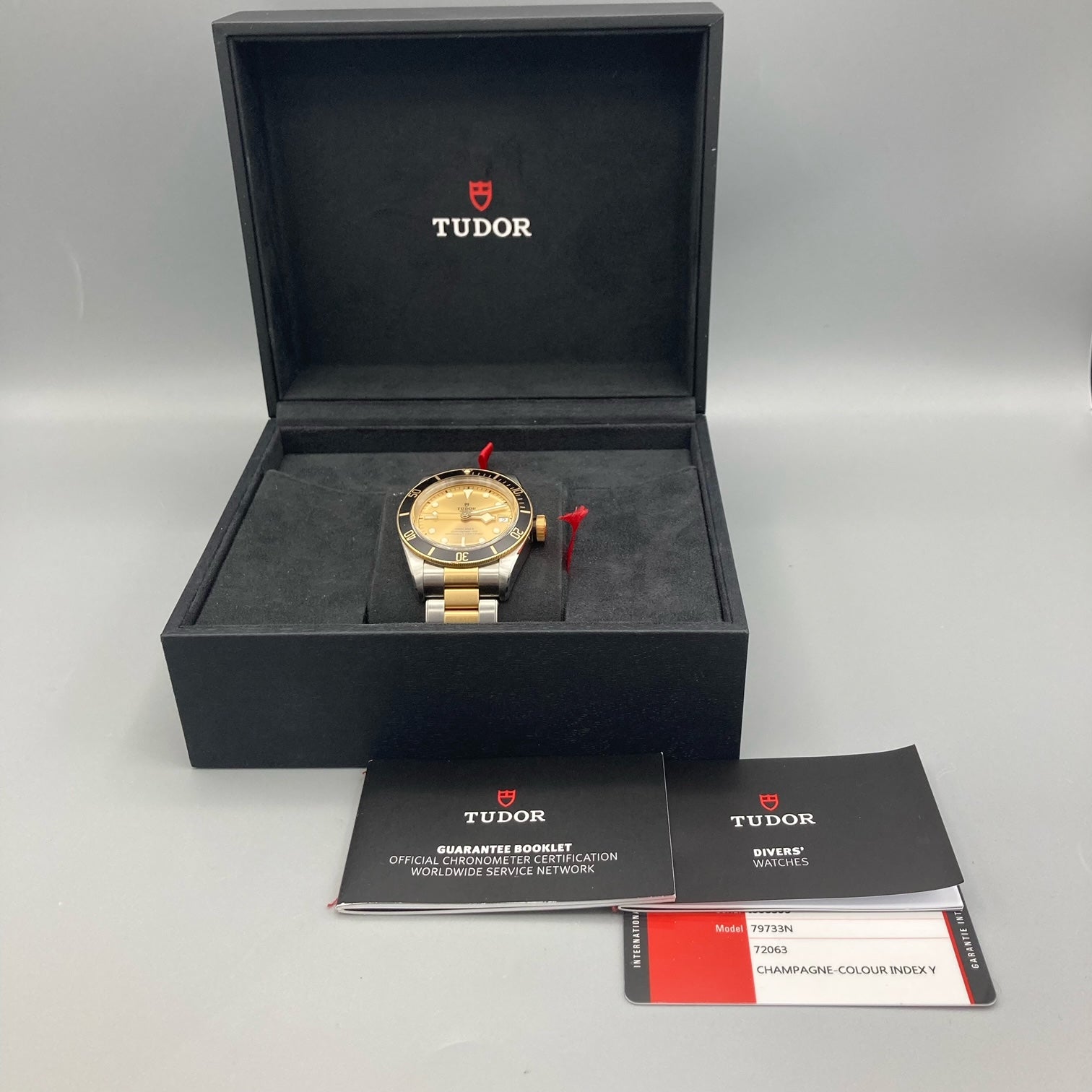 Tudor Black Bay S&G Watch 79733N