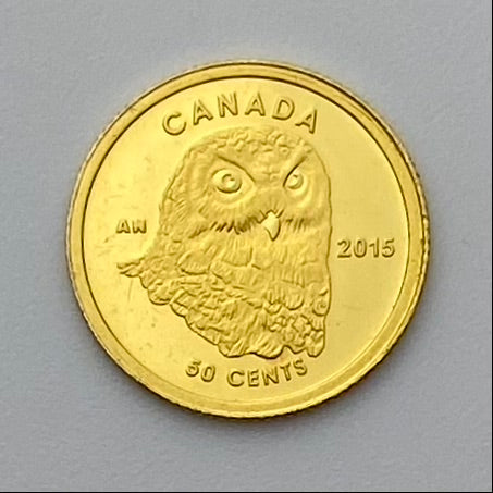 Hibou canadien de 50 cents 2015 - Pièce en or pur de 1/25 once