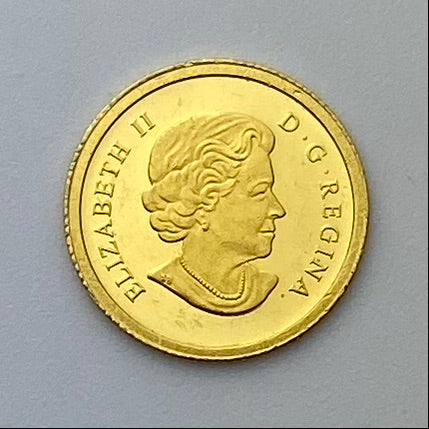 Hibou canadien de 50 cents 2015 - Pièce en or pur de 1/25 once